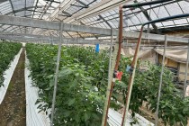 LINE_ALBUM_2025年前期新入会員事業_250723_34